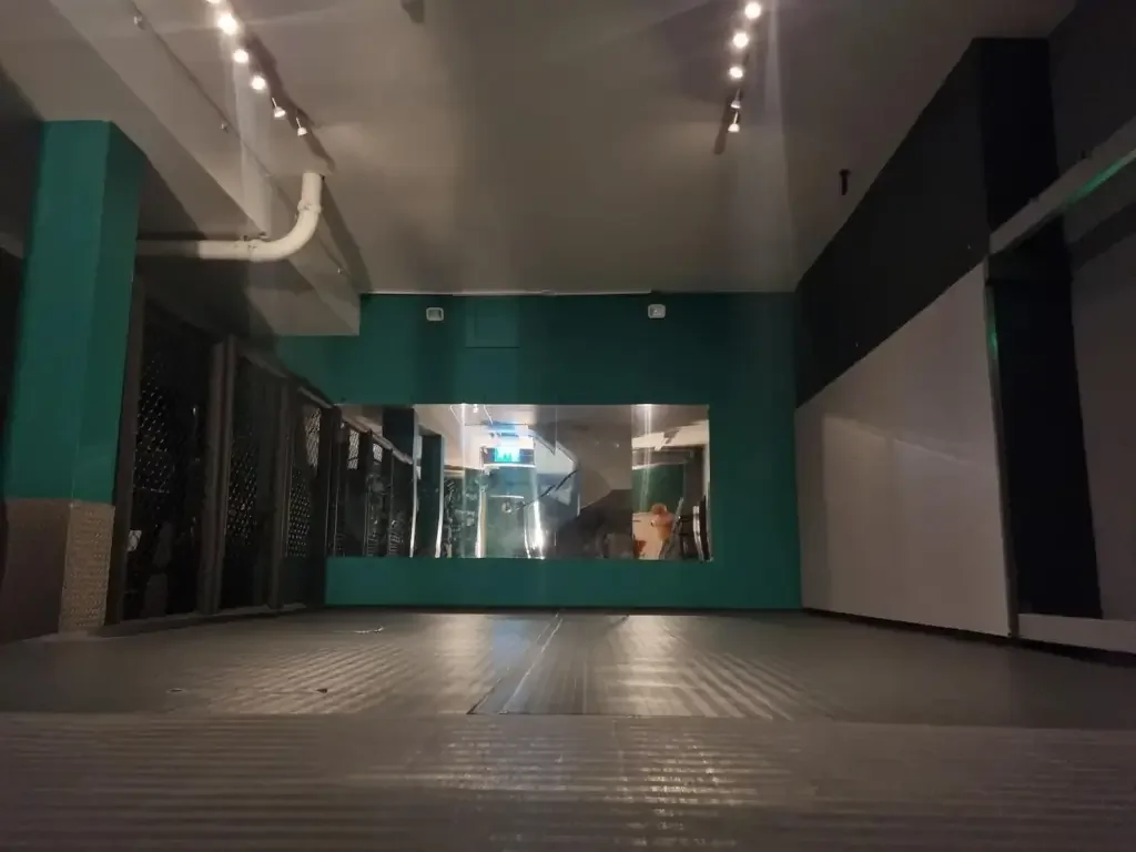 The Dojo