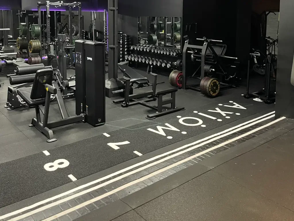 The Studio