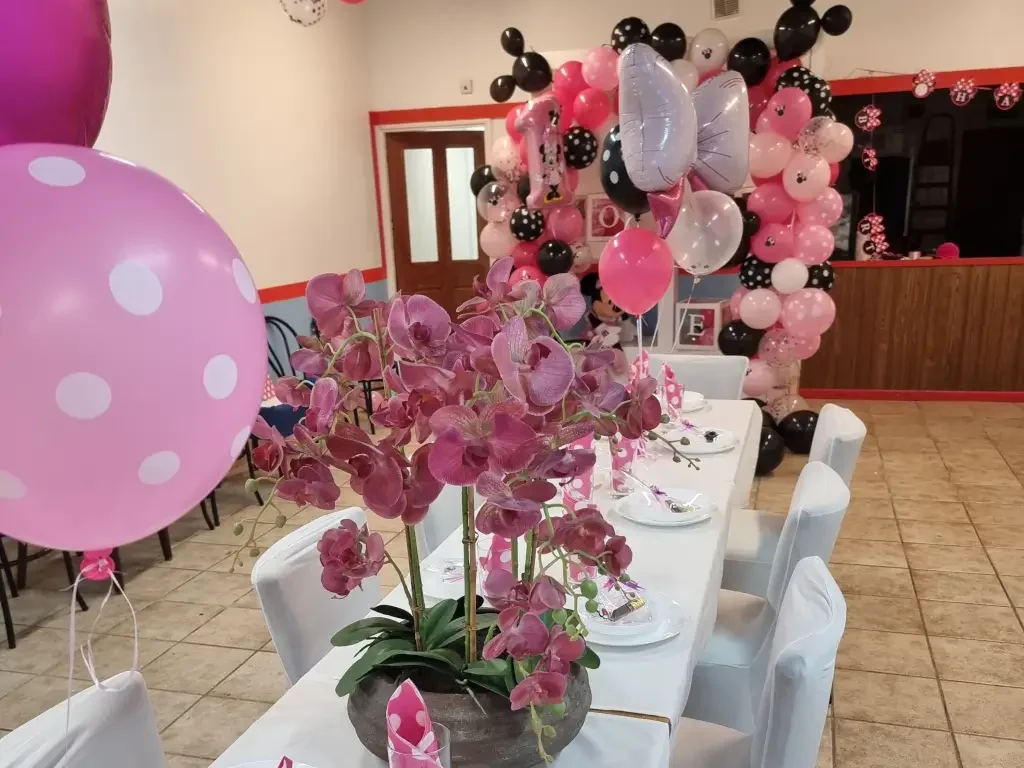 Blue Orchid - Experience