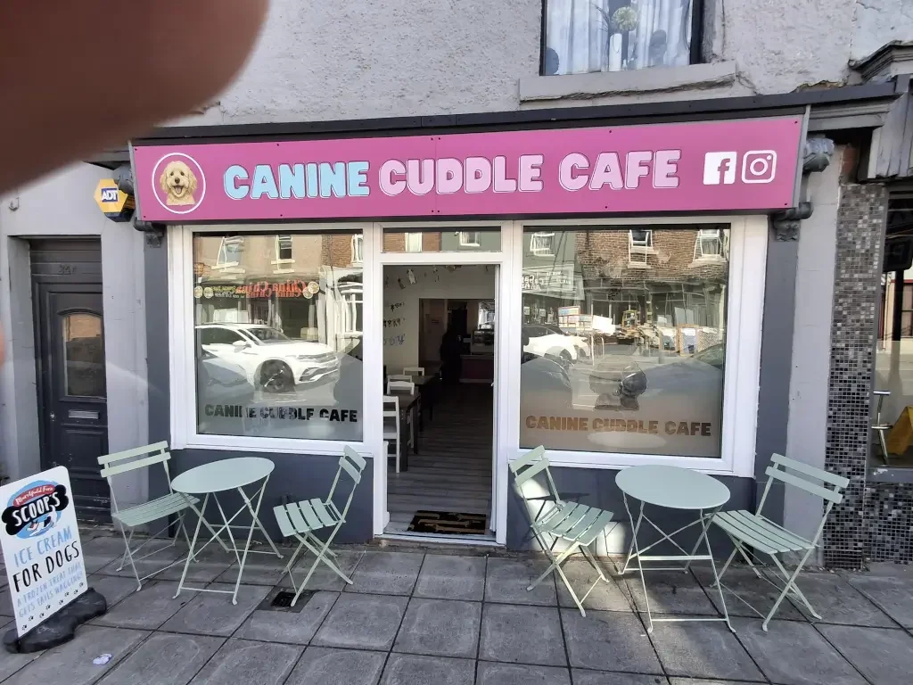Cafe and Restaurant