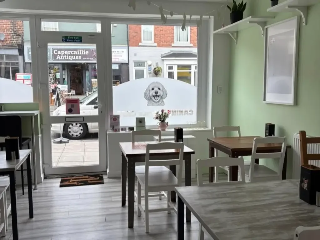 Cafe and Restaurant