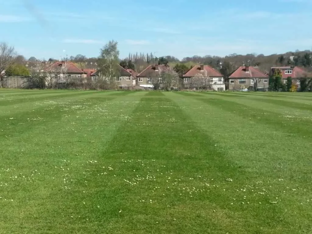 Sports Field