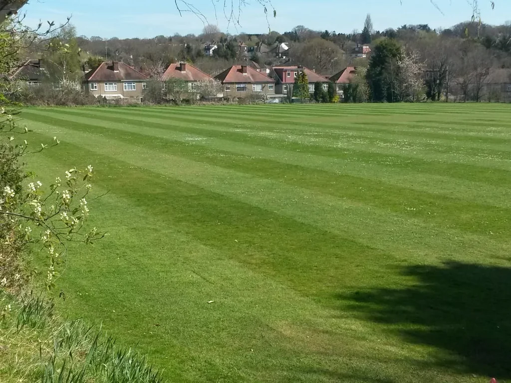 Sports Field