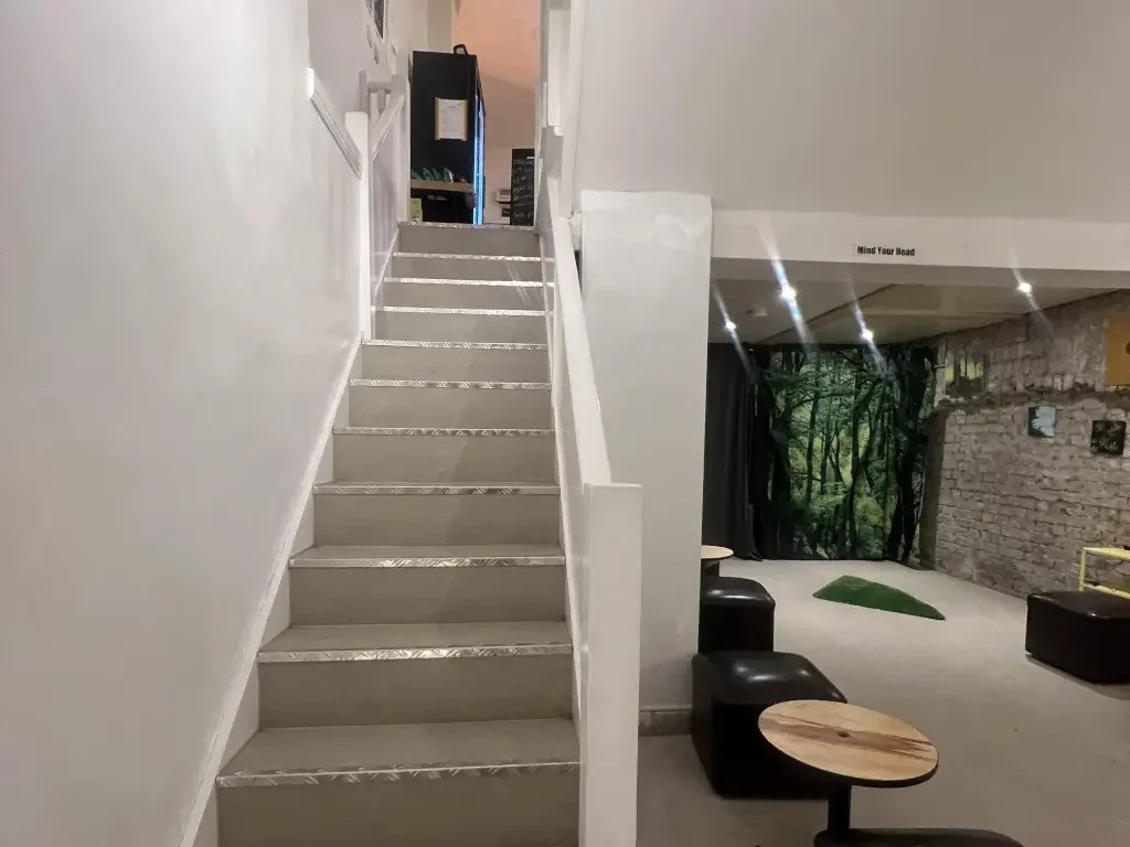 Artist Basement