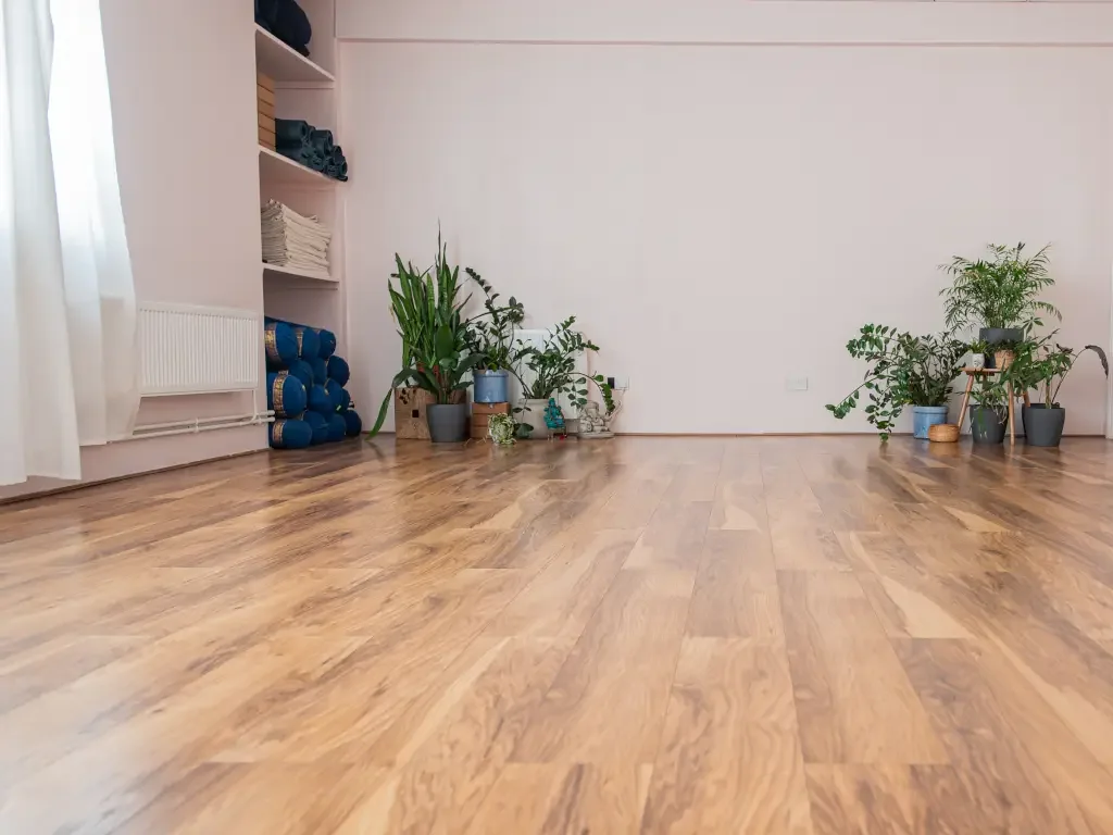 Main Studio