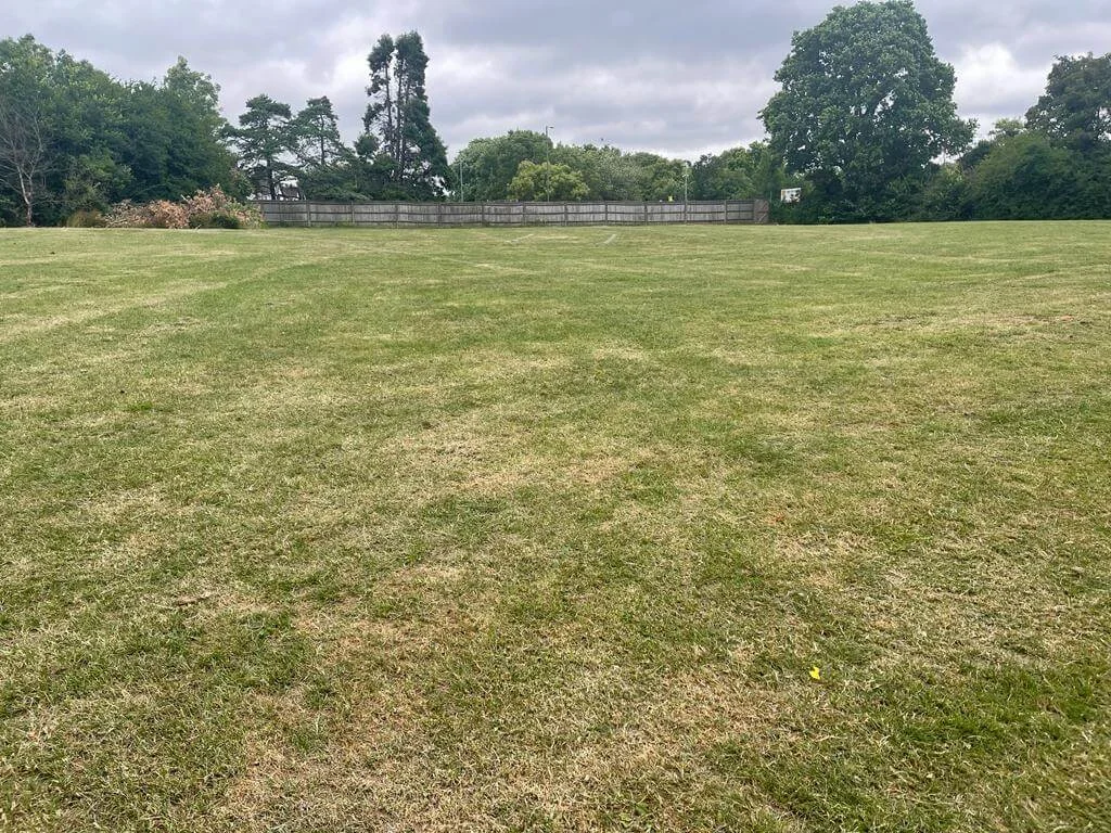Grass Area