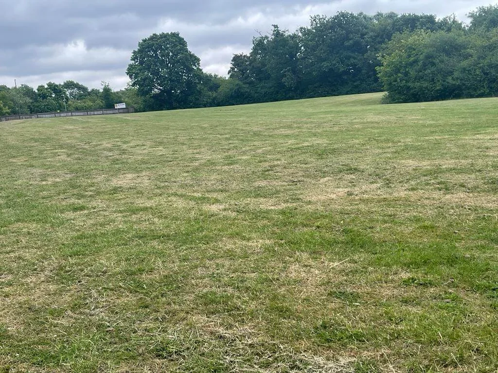 Grass Area