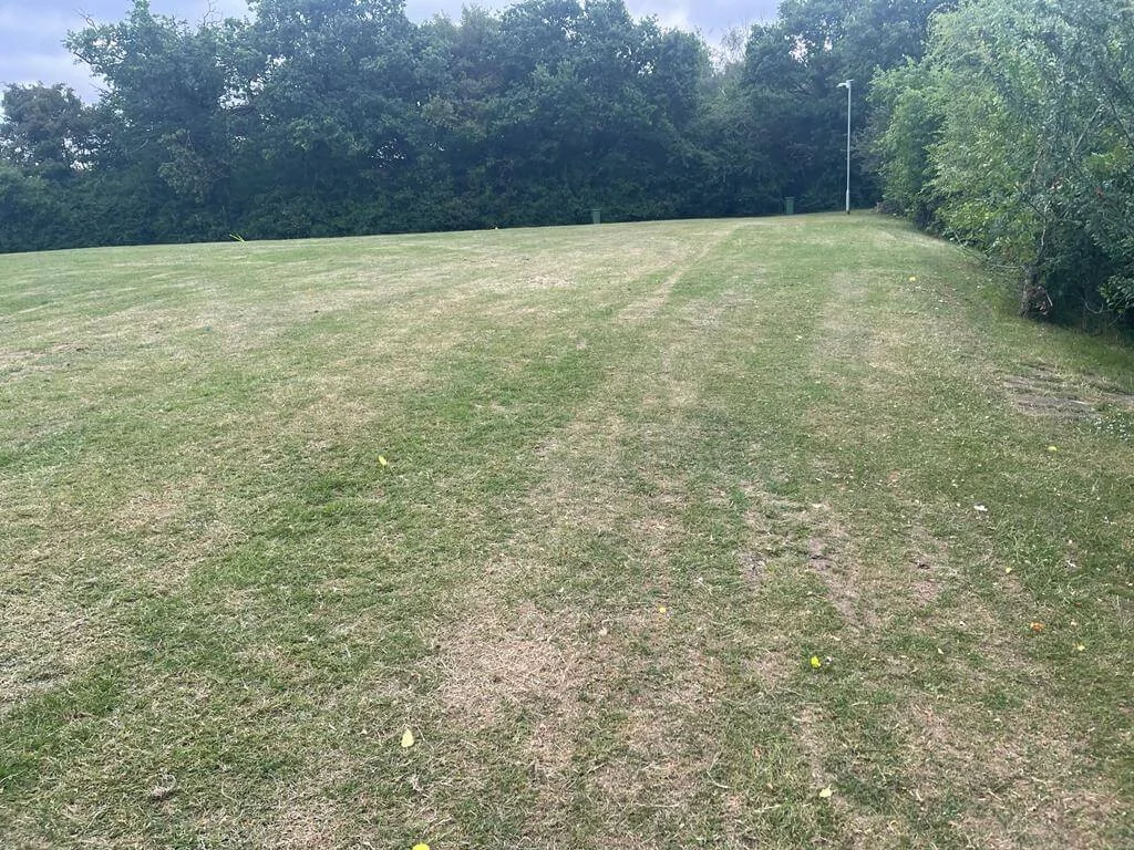 Grass Area