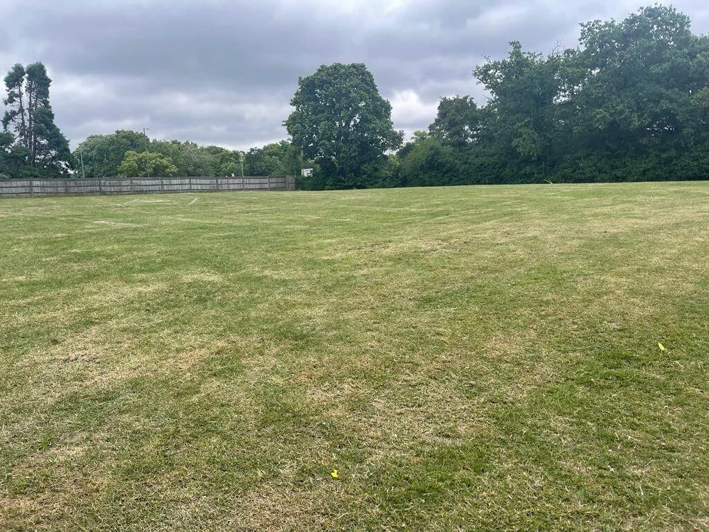 Grass Area