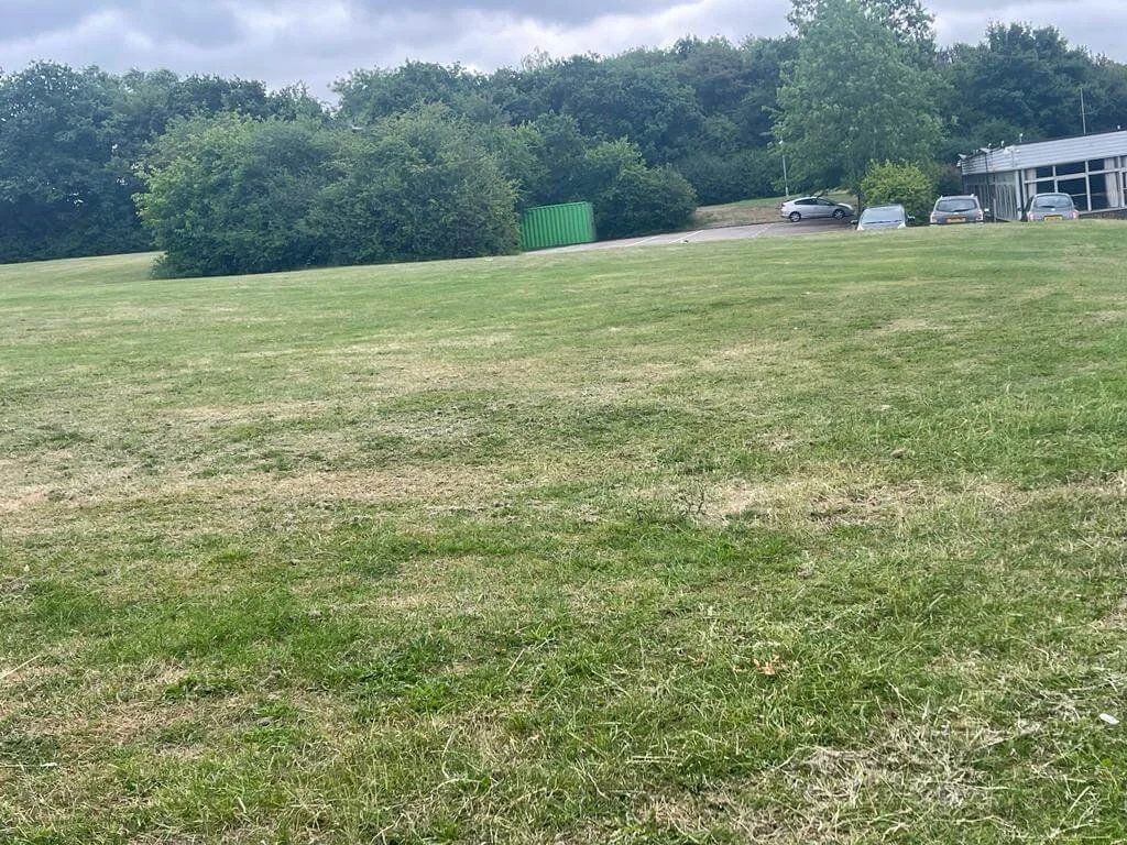 Grass Area