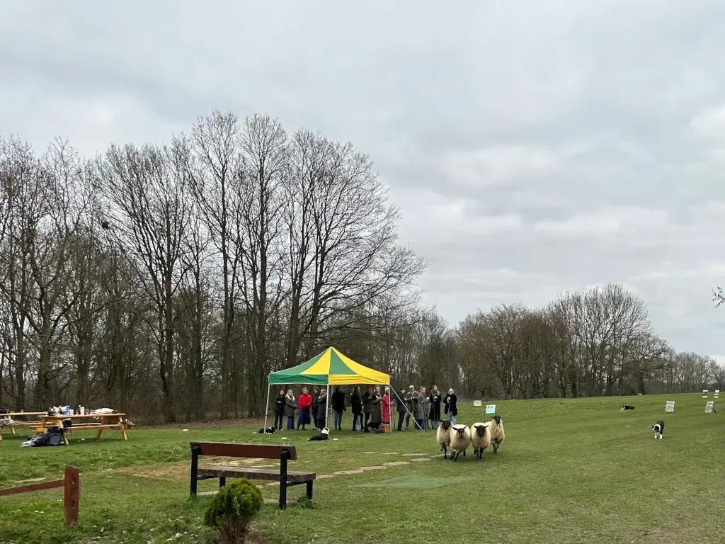 Event Area 1