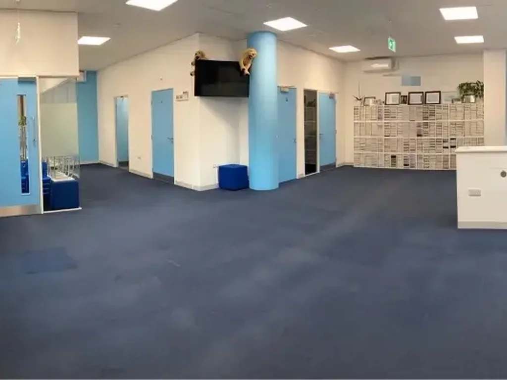 Main Space