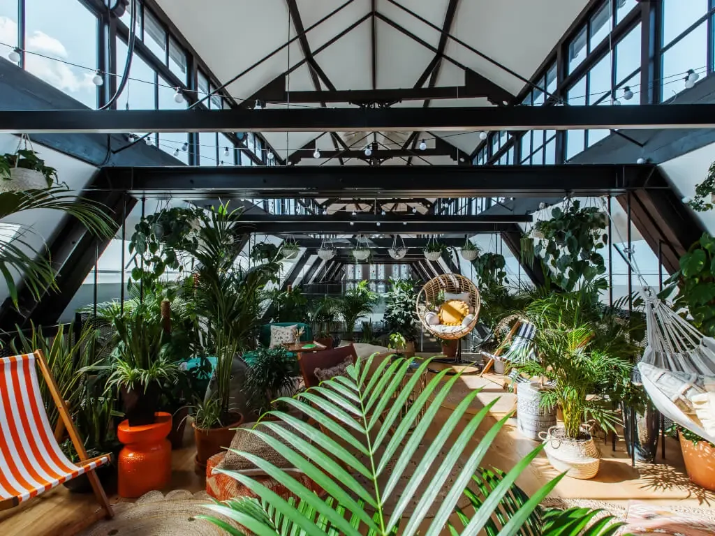 The Hanging Garden