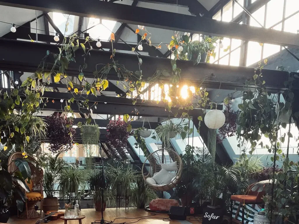 The Hanging Garden