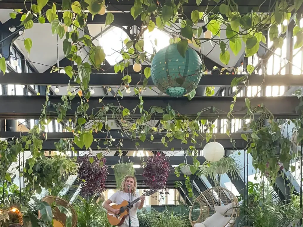 The Hanging Garden