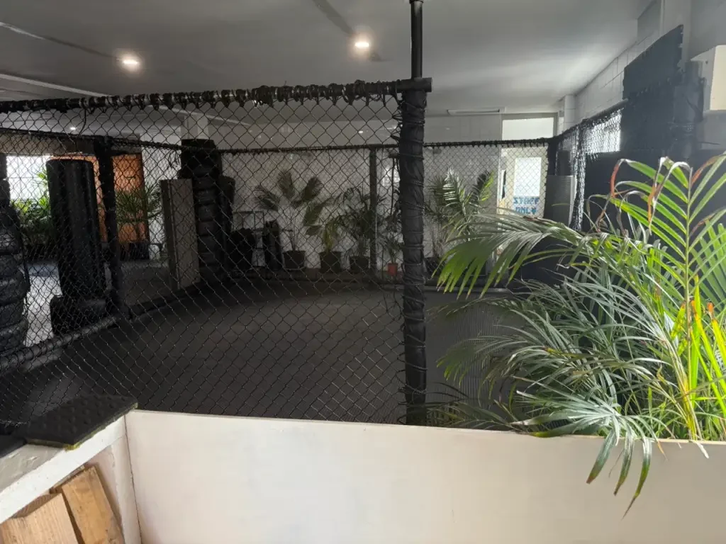 MMA Dojo