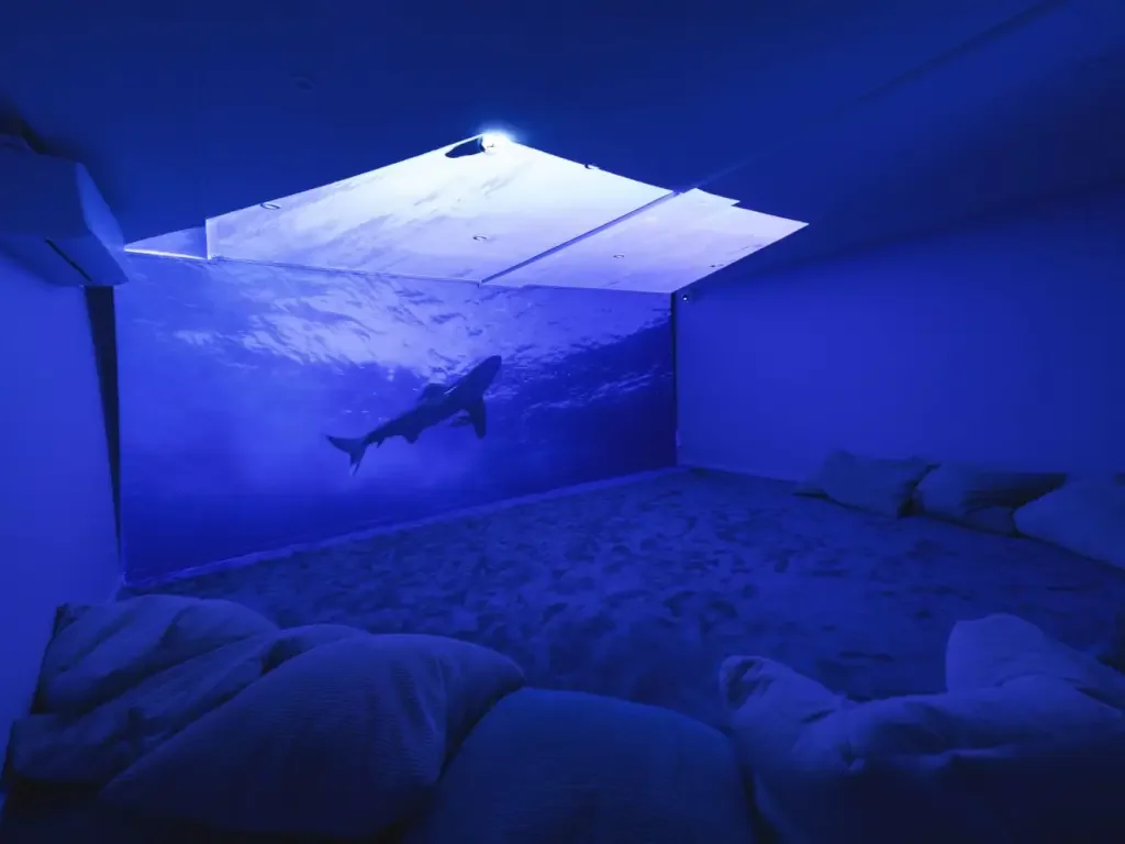 Sensory Room/Den