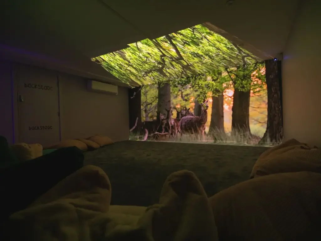 Sensory Room/Den