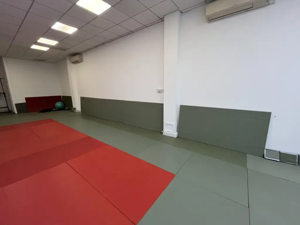 Dojo