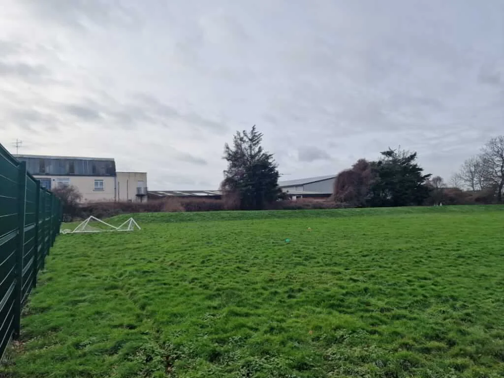 Grass Field