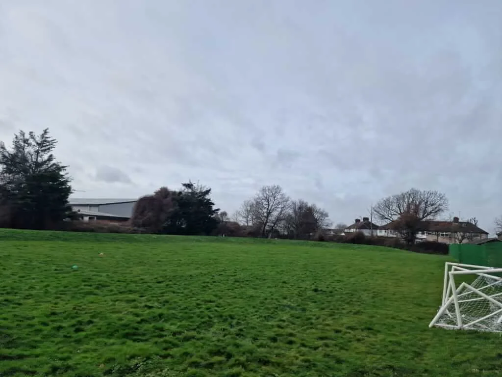 Grass Field