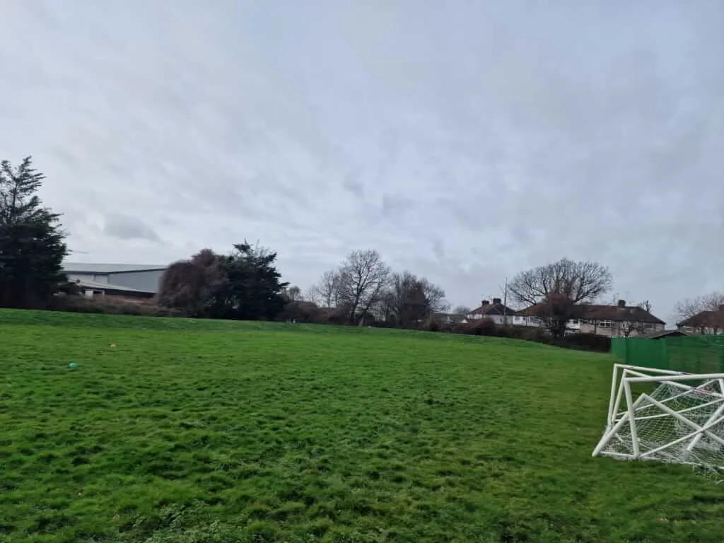 Grass Field