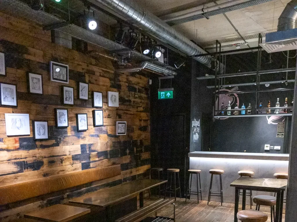 Pilpel's Basement