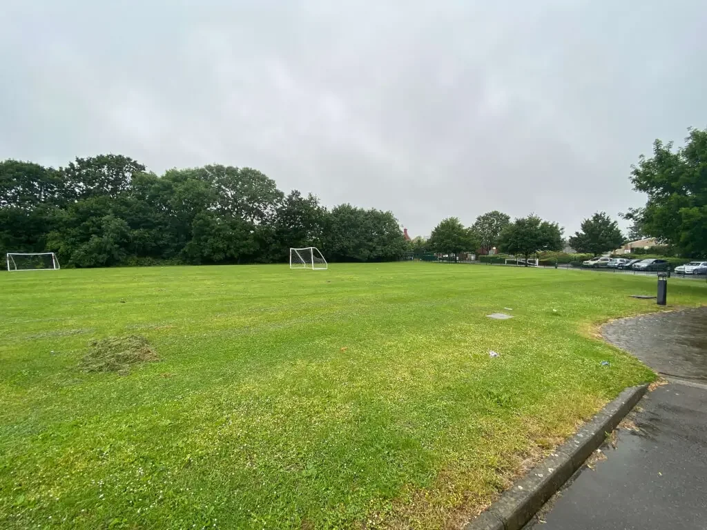Main Field