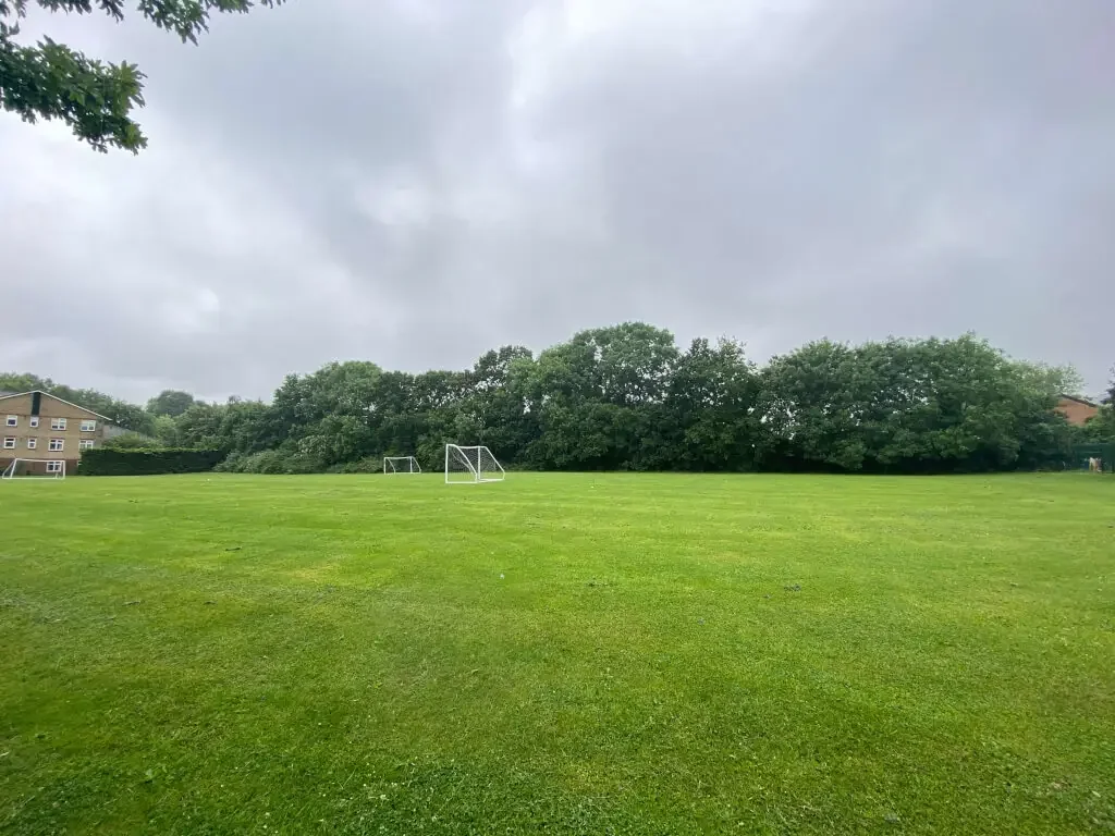 Main Field