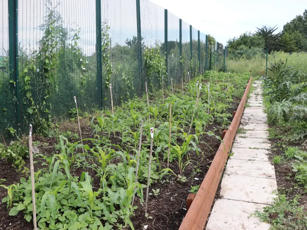 Global Garden