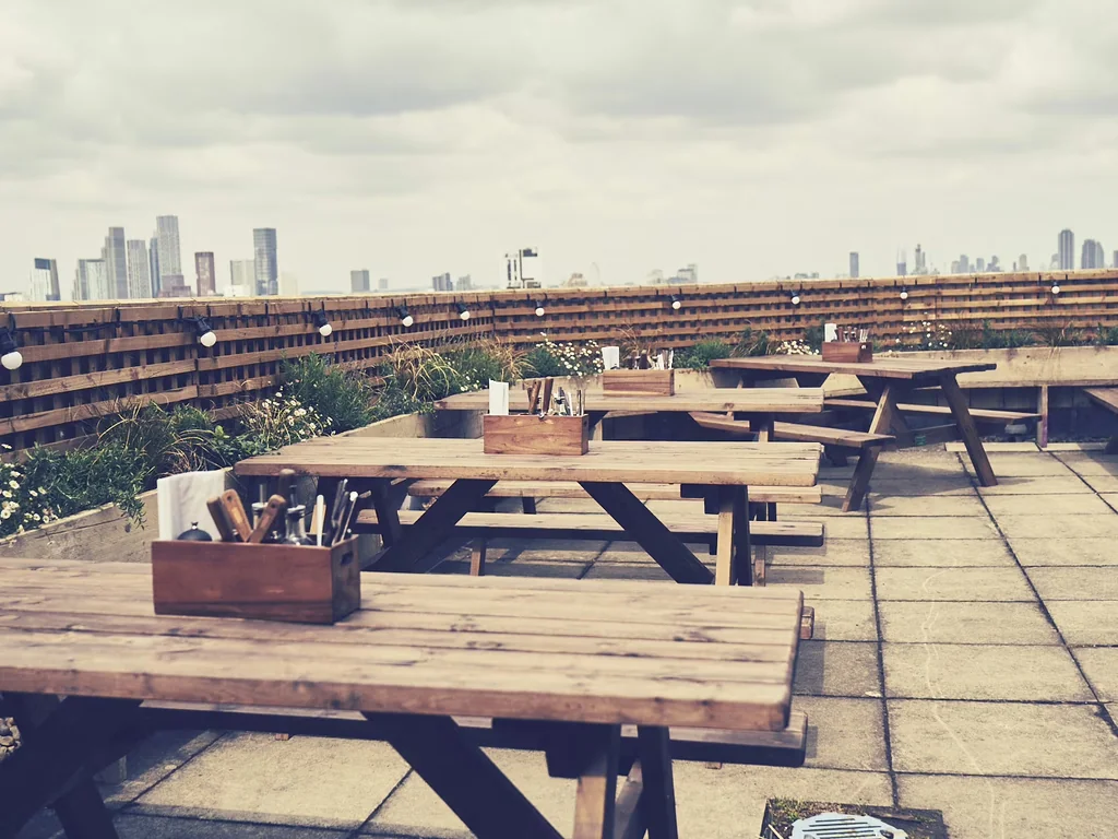 Morning Terrace