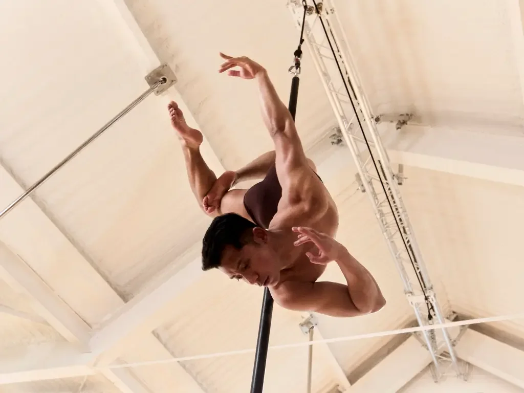 Venus Pole Ltd