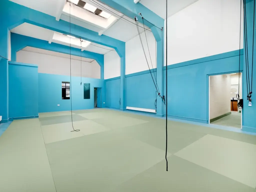 Aerial Studio