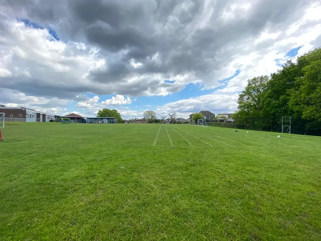 Grass Field