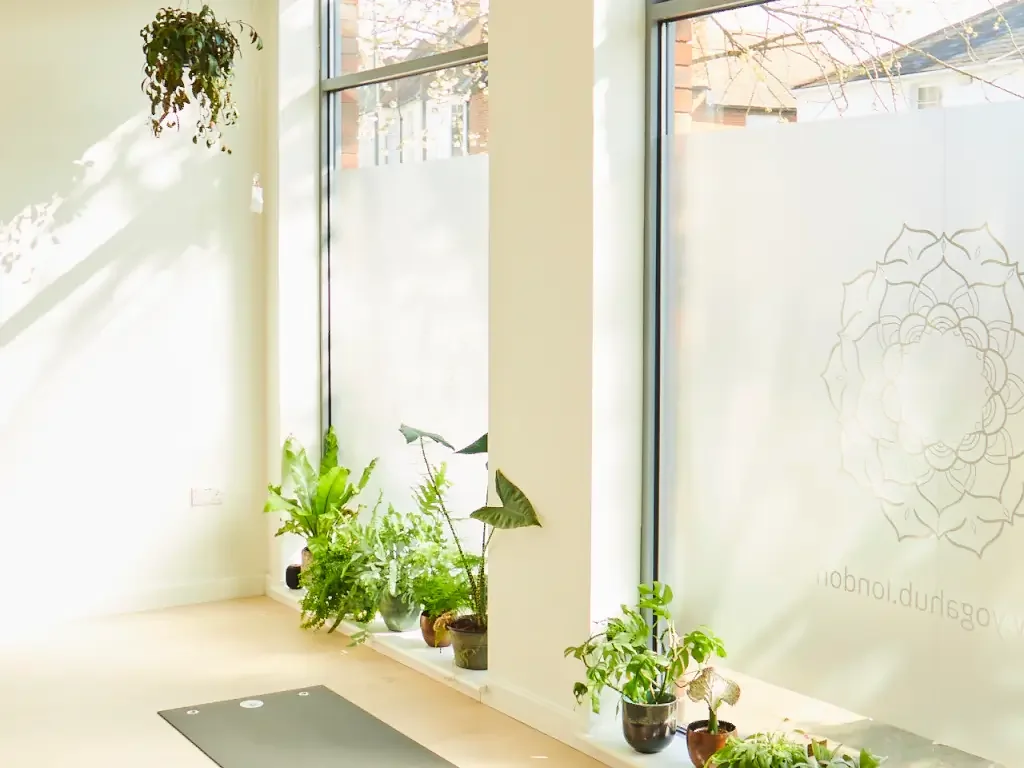 Yogahub Studio