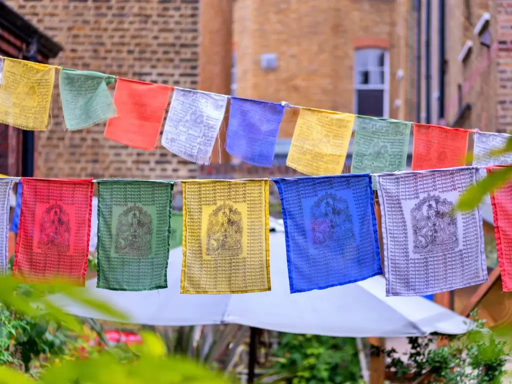The Cafe & Courtyard