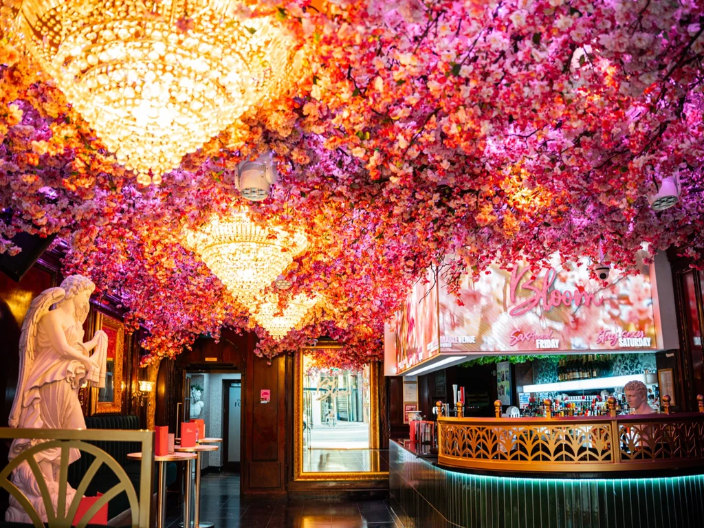 Cocktail Bar