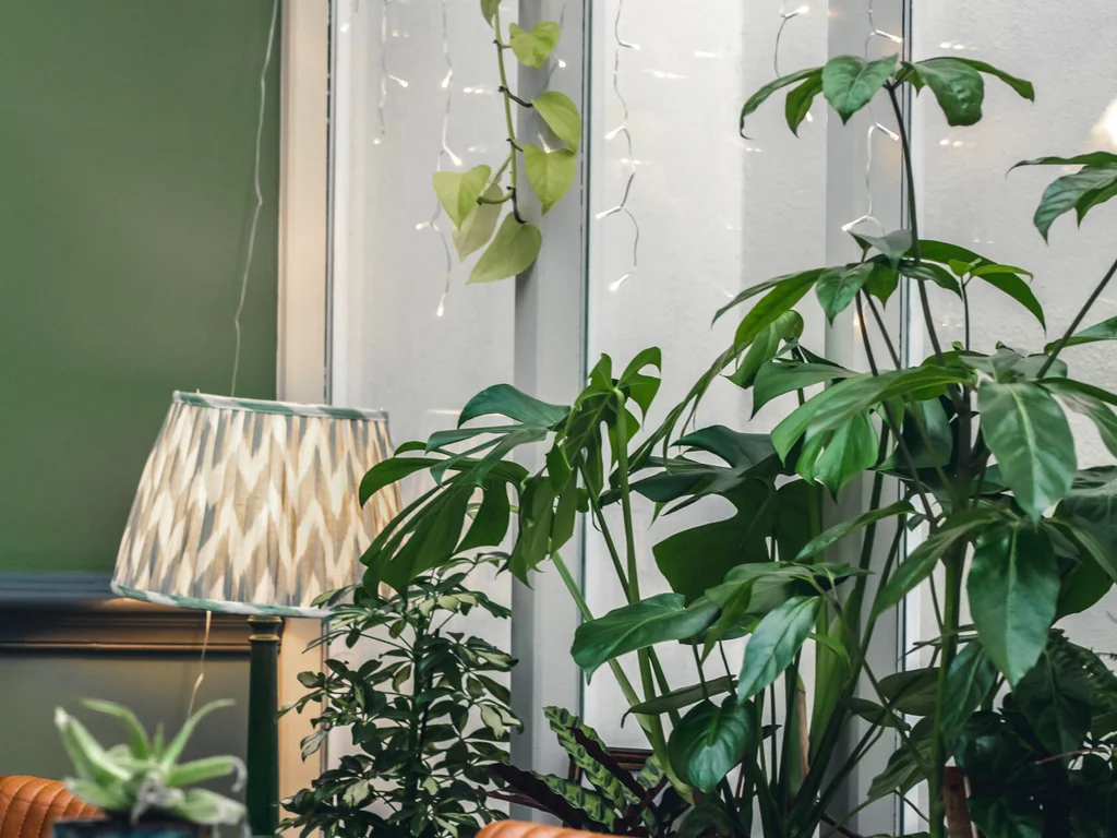 The Green Room