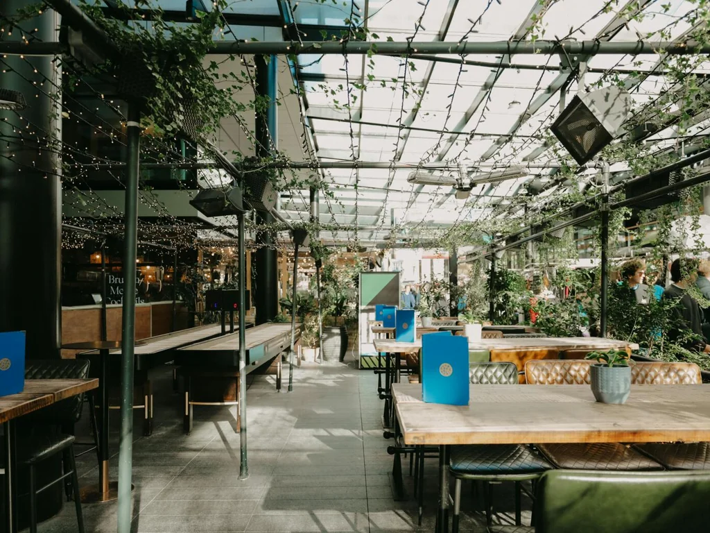 Whole Terrace Area