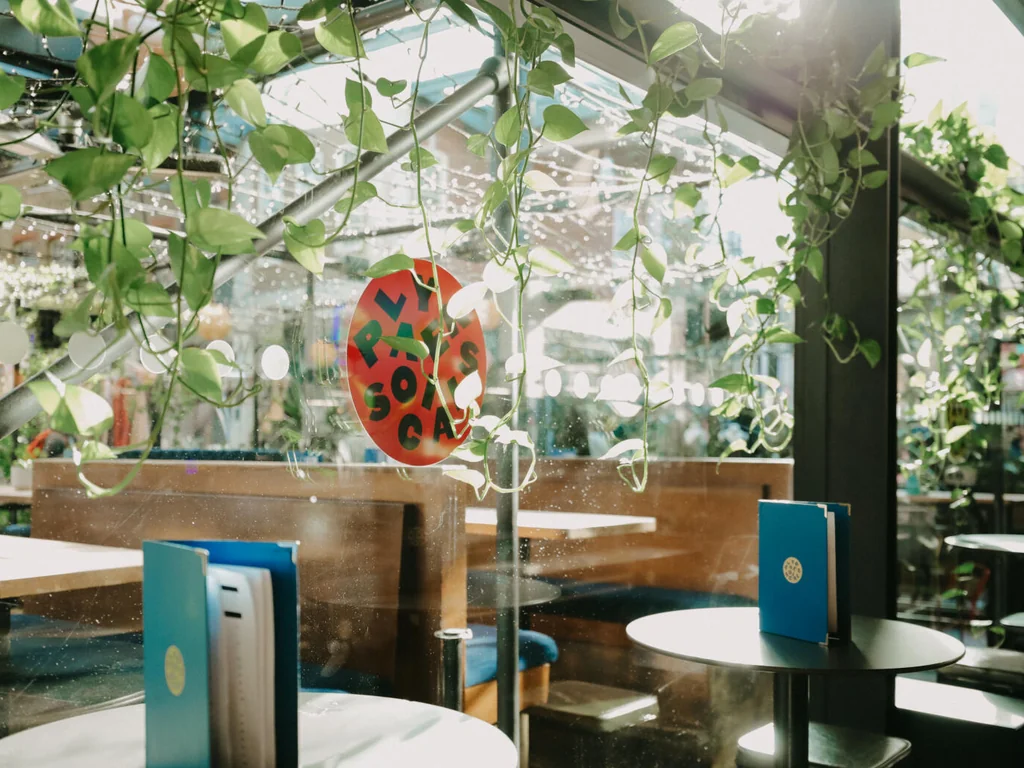 Whole Indoor Area