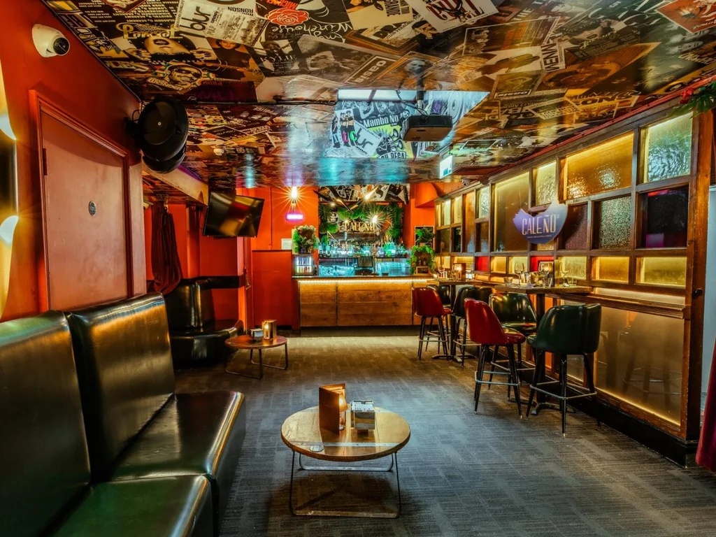Vinyl Room
