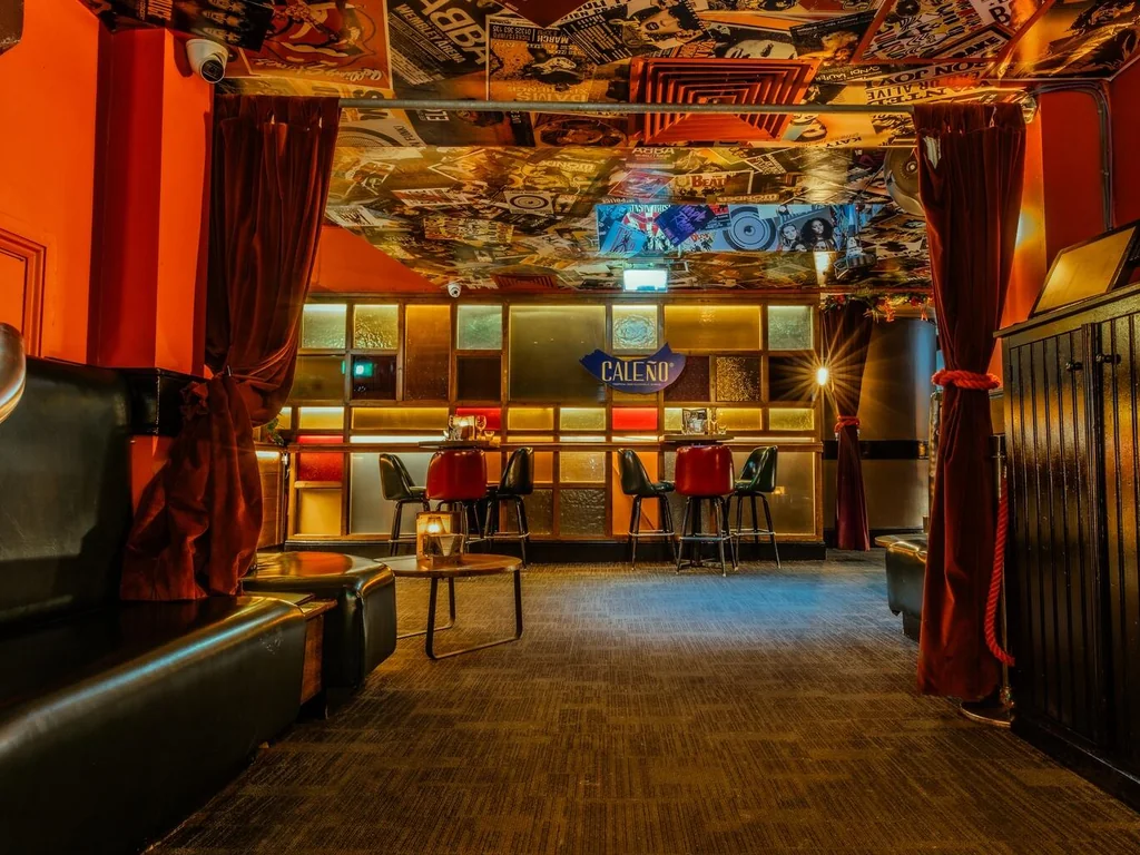 Vinyl Room