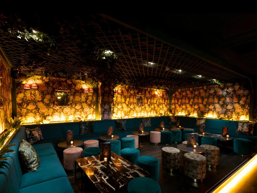 VIP Area