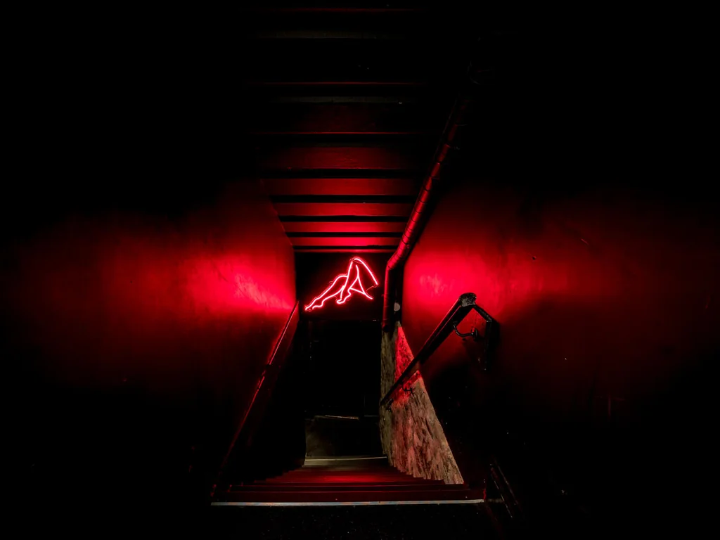 The Den (Basement)