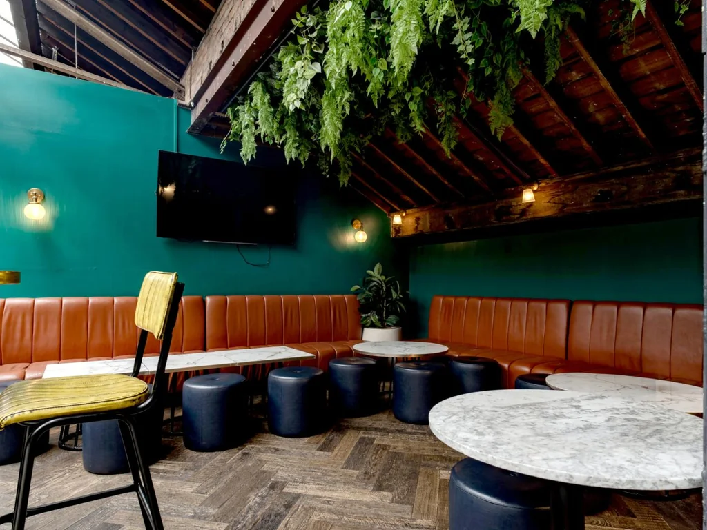 The Snug