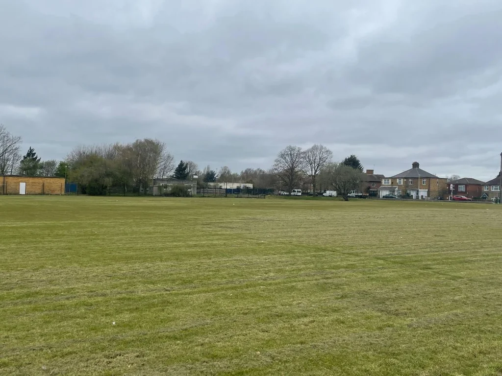 Grass Field