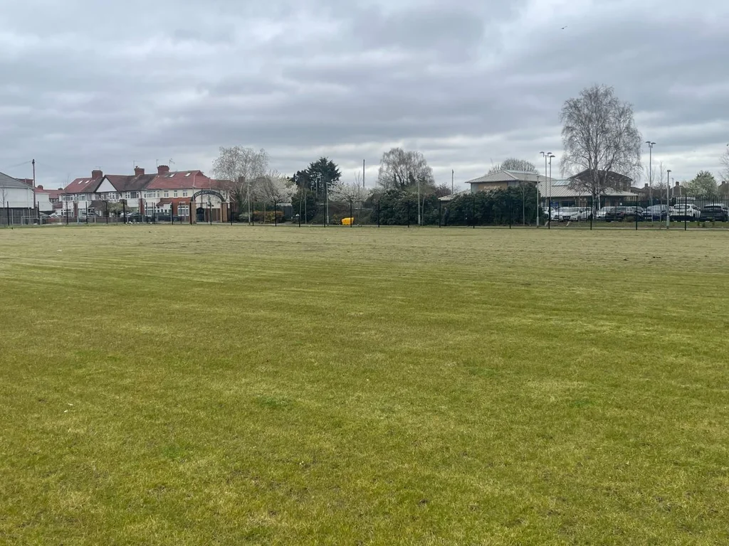 Grass Field