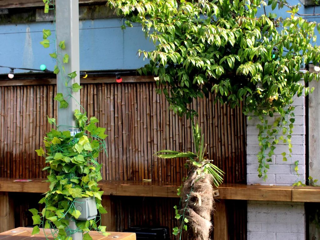 Roof Garden