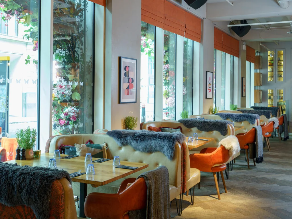 The Snug