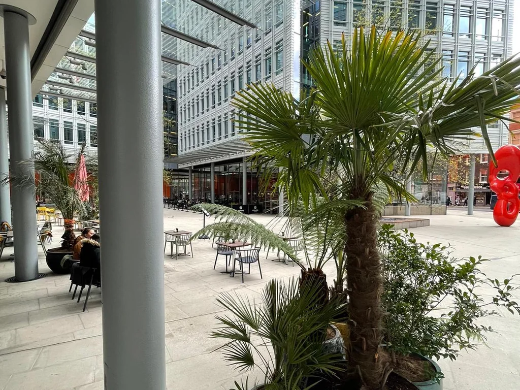 The Terrace